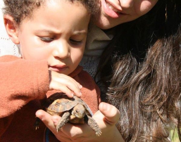 AbacusKidz Educational Shows-35
